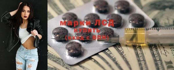 PSILOCYBIN Аркадак