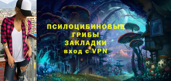PSILOCYBIN Армянск