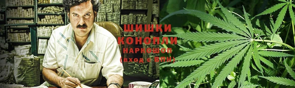PSILOCYBIN Армянск