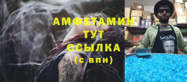 PSILOCYBIN Аркадак