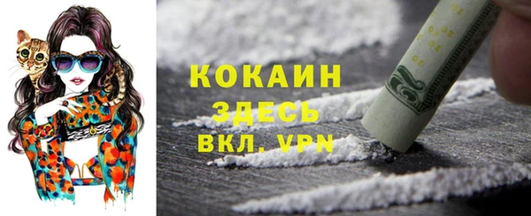 PSILOCYBIN Аркадак