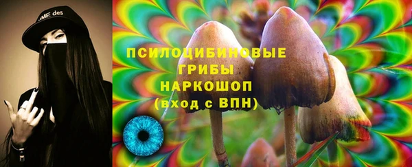 apvp Арсеньев