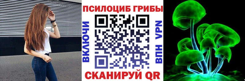 купить   Голицыно  Галлюциногенные грибы мицелий 